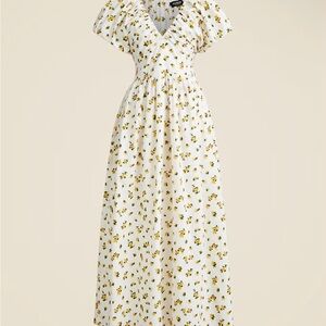 J. Crew Cecily Dress